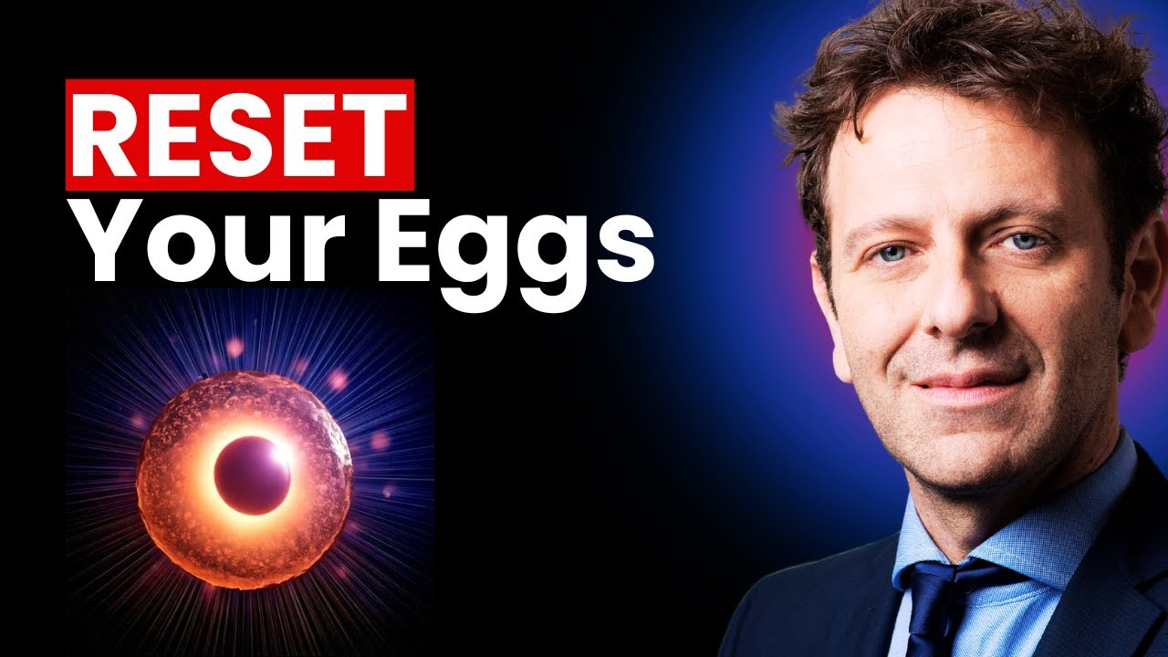 Egg Quality After 35: Stanford Expert Reveals Aging Reset Button