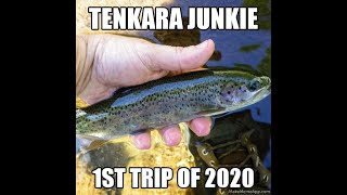 First Tenkara Trip of 2020 - Sierra tenkara fishing for browns and rainbows