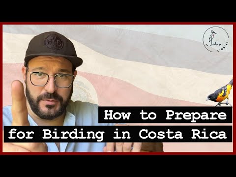 What you should know before birding in Costa Rica | How to prepare, what to bring, and where to go