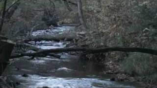 Clearfield PA 400  Acres Auction