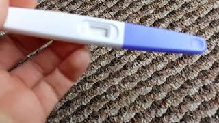 Live pregnacy test 11DPO