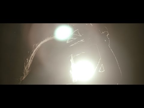 CARPE DIEM feat. Tracey Coryell - Intense (Official Video) Szymon Wydra