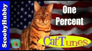 One Percent (The Song) -- CatTunes #4