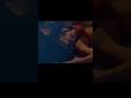 Hot Webseries Shots Webseries Hot Video Hotshots Webseries Webseries
