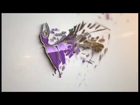 Bones of the upper limb 1