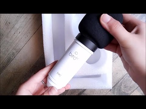 BIRD INSTRUMENTS EM2 - Test & Avis d'un client Woodbrass