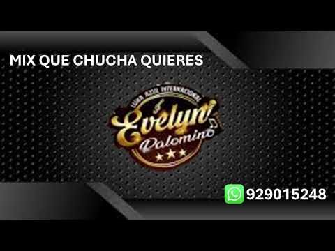 Pista Musical ( Mix Que chucha quieres - Evelyn Palomino)