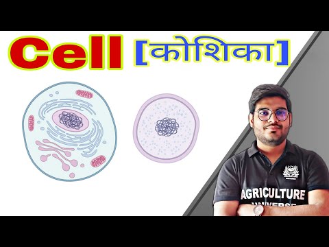 what is Crop physiology crop physiology kya hai crop physiology bsc ag second semester