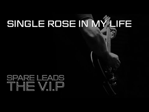 THE V.I.P™ - SINGLE ROSE IN MY LIFE © 2020 THE V.I.P™ (Official Demo Video)