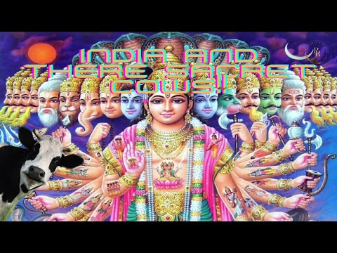 Cows in Indian Culture: Why Do They Inspire Reverence?