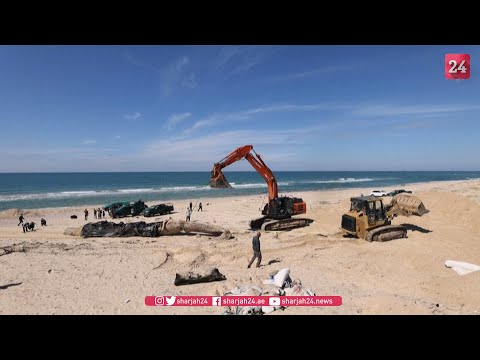Washed-up Fin whale buried at Israel beach