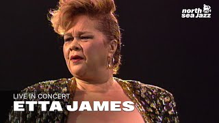 Etta James &amp; The Roots Band - &#39;I Feel Like Breaking Up Somebody&#39;s Home Tonight&#39; | NSJ (1993)
