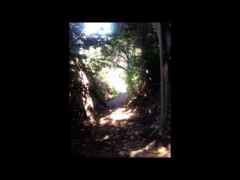 SIKE - Silent Hike Santiago de Chile