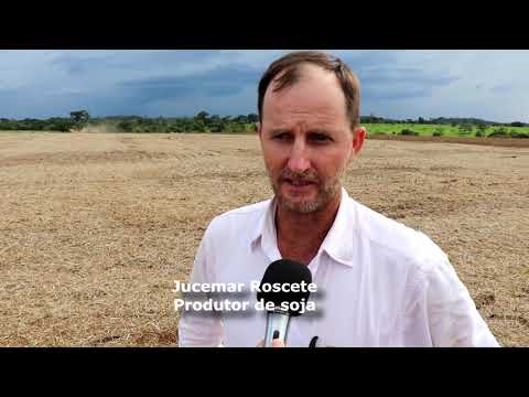 CONSTRUÇÃO DE PONTES DE CONCRETO LINHA BOF EM TERRA NOVA