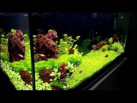 Watch Video on YouTube