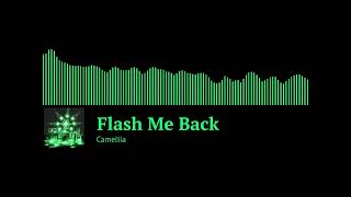 Cover art for Flash Me Back