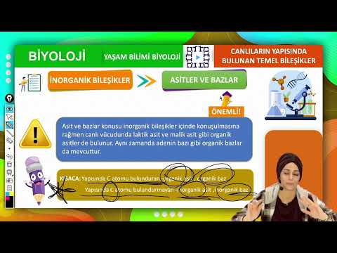 Biyoloji Asitler Ve Bazlar