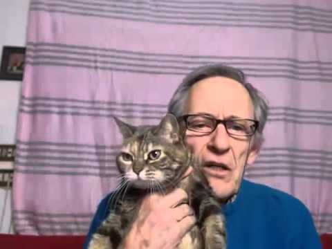 An American in Italy