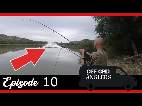 CARP FISHING SPAIN. ANOTHER PB SMASHED. RIVER EBRO CARP AND CATFISH.