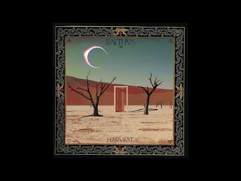 Mango Season - BALTHVS