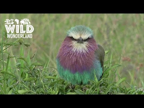 #GlobalBusiness 18GMT 24/07/2019