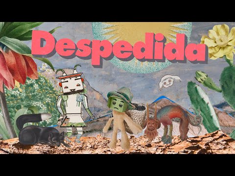 Despedida video