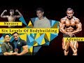 Six Levels Of Bodybuilding