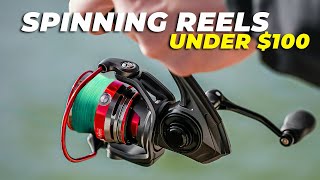Best Spinning Reel Under $100