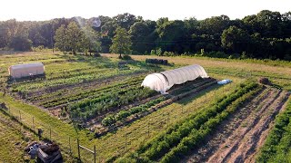 Garden Tour | June 2021