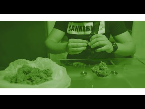 EMSON - ZIELONY LIŚĆ (CannabisFanatic)