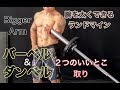 ダンベルとバーベル双方のいい所を合わせ持つランドマインで腕を太く[BIGGER ARMS]