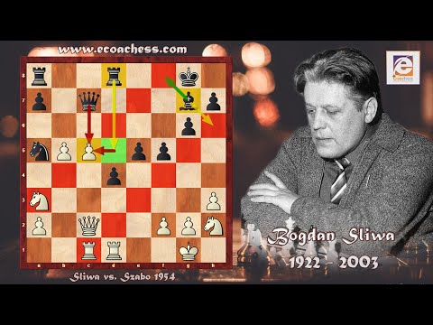 Greatest Chess Positional Play! Sliwa vs. Szabo Budapest 1954