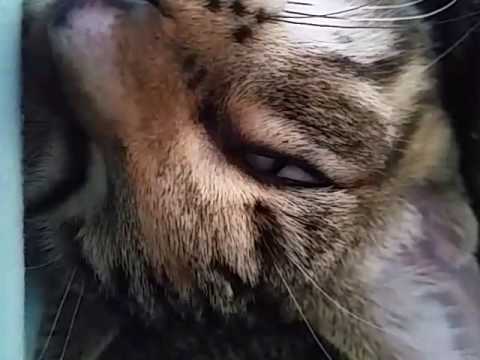 That eye roll though