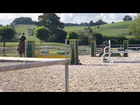 KRISTALL (5yo mare by Cellestial x Canturo) Juli 2022