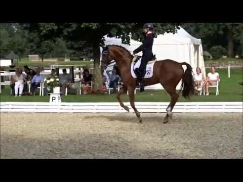 SIR HEINRICH OLD und Anja Wilimzig im Prix St. Georges in Greven 2016