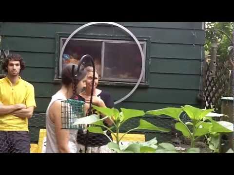 Backyard Chicken Coop Tour - Peaceburgh Pennsylvania