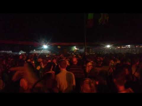 The Brainless Experience - Dub Camp Festival 2019