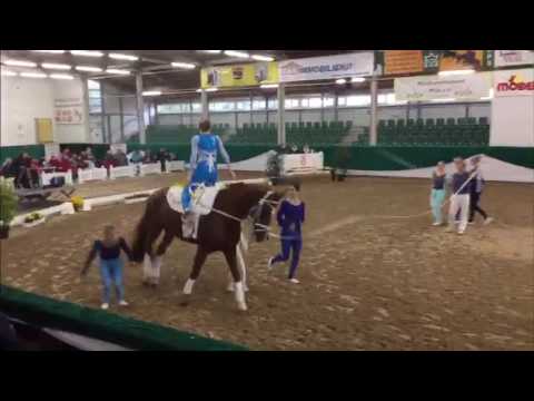 VZ Meerbusch - German M Team Cup 2016 - Freestyle 1