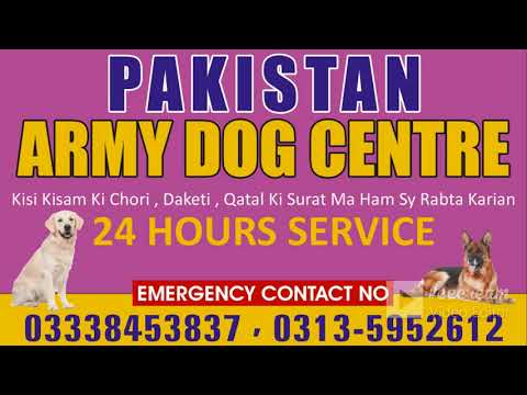 Army Dog Center Rahim Yar Khan Contact No, 03450682720