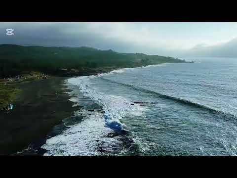 Los Pellines, Constitución, región del Maule