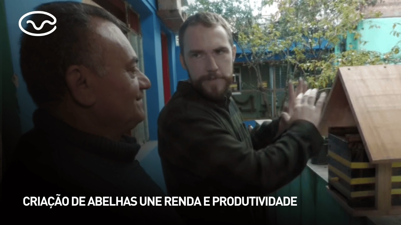 Criação de abelhas une renda e produtividade