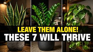 7 Houseplants That Thrive When You Leave Them Alone