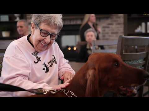 Villas of Holly Brook Video Tour