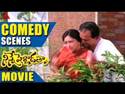 Ninnepelladatha Movie Comedy Scenes Part - 1 - Ninne Pelladatha Movie - Nagarjuna,Tabu