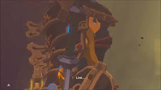 What happens inside Hyrule Castle if you didn&#39;t free ALL Divine Beasts?