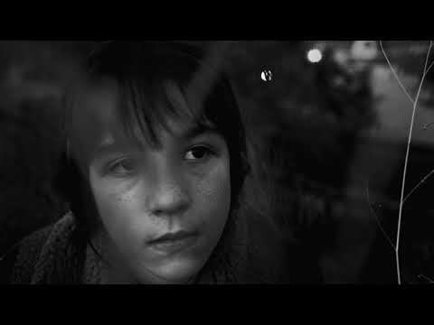 Nikola Vranjković - Večernja zvona (Official Video, 2021) HD