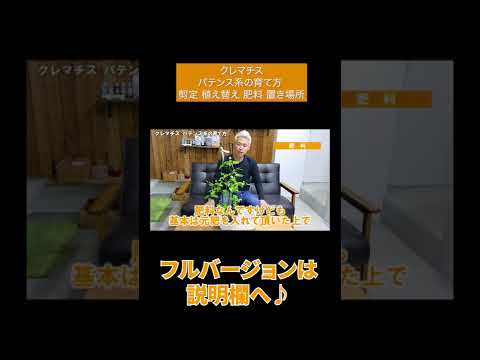 園芸 アルマン神父から贈られたクレマチス