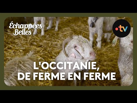 L'Occitanie, de ferme en ferme - Échappées belles
