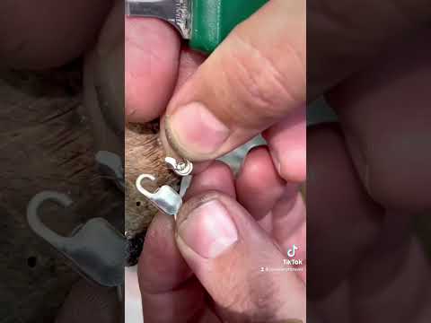 Fixing a broken lobster clasp… fixing gold and silver jewellery ( jewelry )