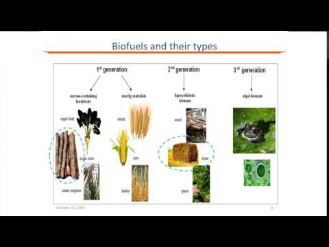 Life Cycle Assessment of Biofuels in India and its Impact on Indian Biofuel Programme - Shveta Soam